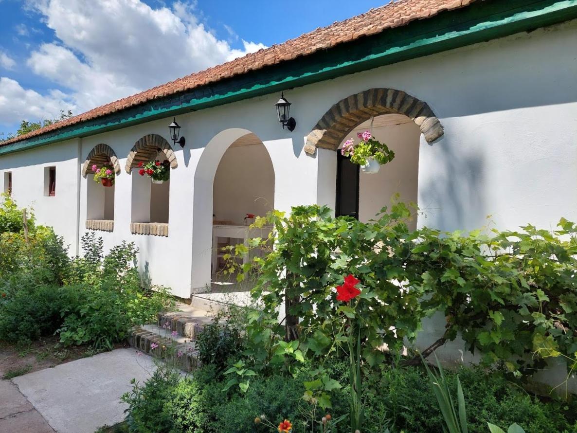Eva House