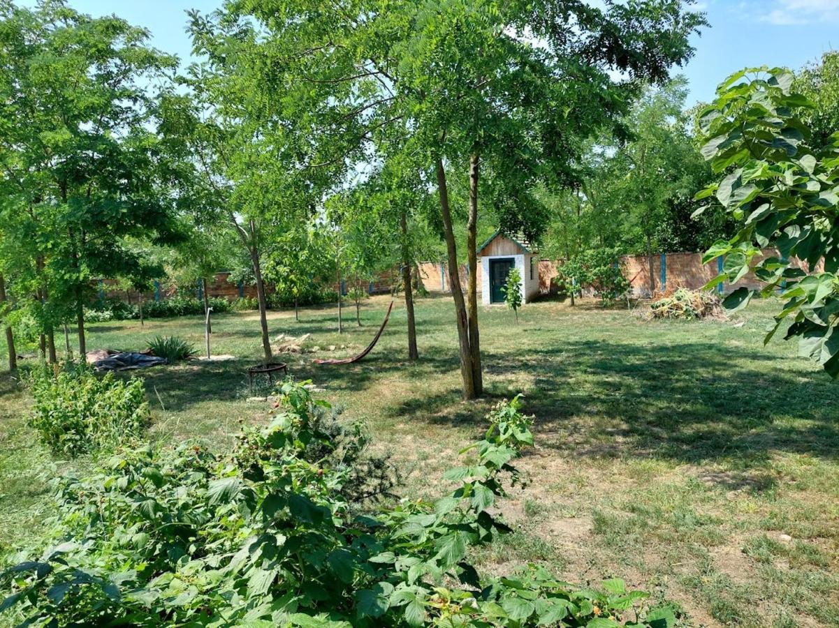 Eva House Guest house Pacir