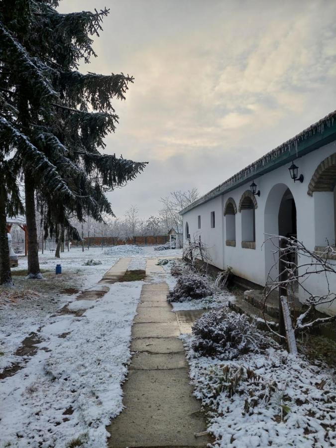 Eva House Guest house *